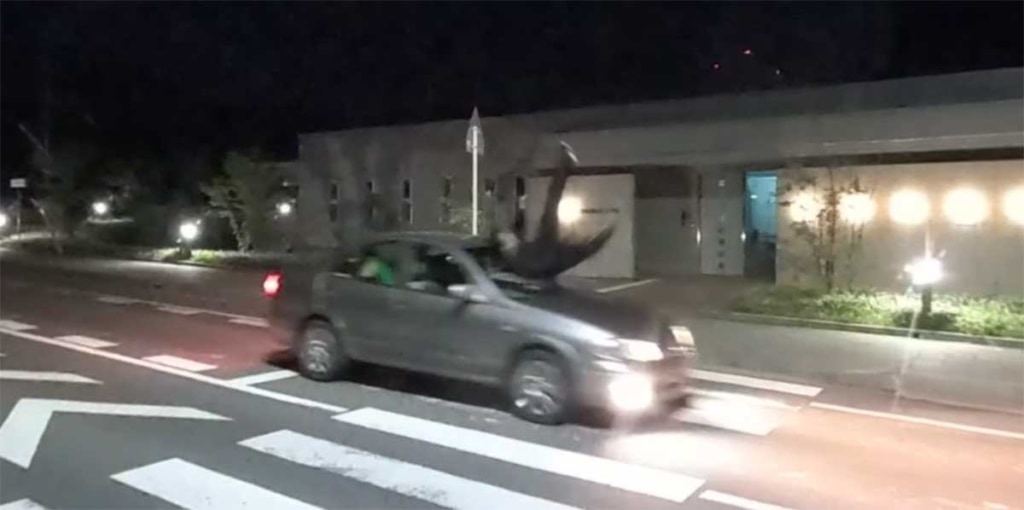 20231018VR 2 1024x510 - サンダーボルト／飲酒運転の怖さが学習できるVRコンテンツをリリース
